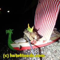/home//u458753944/public_html/sourcegallery//Roxborough Toad Detour/2013-2019/2018/2018-02-21/P2210060.JPG